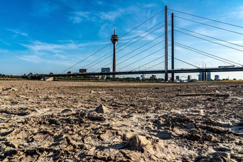 Rhine near Düsseldorf, extremely low water, Rhine level at 81 cm, falling, after a long drought the
