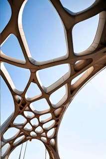 Modern bridge design of a network of interconnected shapes inspired by the structure of spider