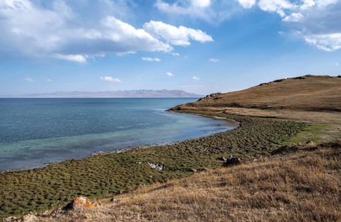 Meadow on the shore of Song Kul mountain lake, Naryn region, Kyrgyzstan, Asia