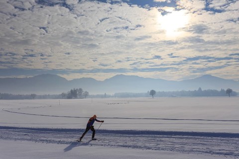 Cross-country skier, man, adult, on cross-country trail in front of mountains, snow, winter, Tölzer