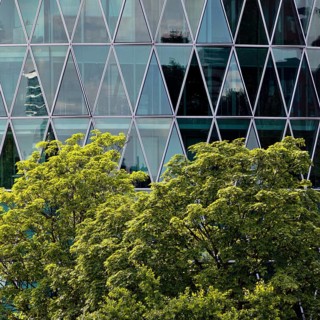 Green tree in front of the Westhafen Tower with a diamond-shaped, petrol-coloured façade structure