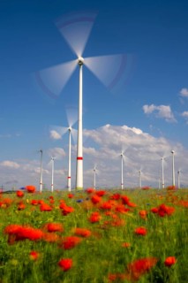 Wind farm, field with flower strips, insect-friendly border of fields with mixed flowers, poppies,