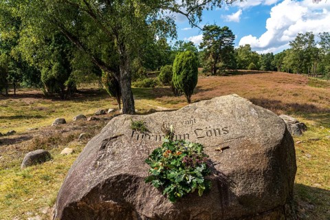 Grave of the heath poet Hermann Löns, in the Tietlinger Wacholderhain, near Bad Fallingbostel,
