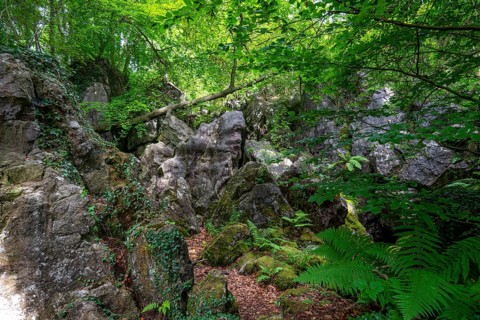 The Felsenmeer in Hemer, Sauerland, geotope, with rugged rock formations, nature reserve, North