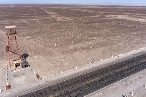 Aerial, The Tree, Nazca geoglyph, Nazca Lines, Nazca, Peru, South America