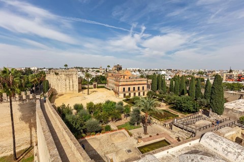 View from above of a city with historic buildings and a castle under a blue sky, Jerez
