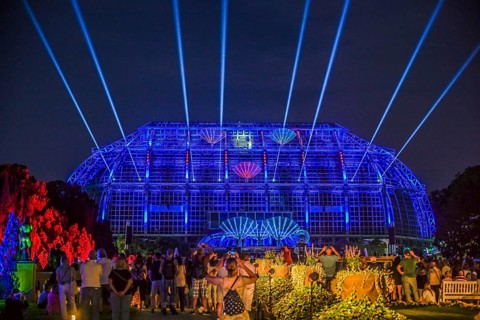 Botanical Night, illuminated large tropical house, Botanical Garden, Lichterfelde,