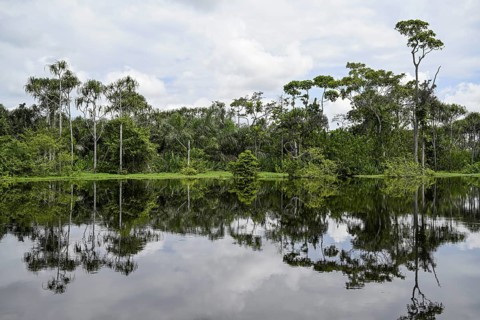 Waterscape on the Akaka River, Loango National Park, Parc National de Loango, Ogooué-Maritime