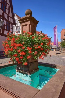 Fountain with geraniums on the church square in Michelstadt, Odenwald, Odenwaldkreis, Hesse,