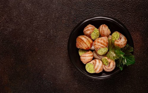 Snails stuffed in Burgundy, on a black plate, with grape leaves, French cuisine, no people