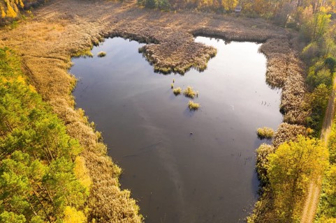 In the shape of a heart, aerial view of a pond of the Luggraben with a wide reed belt in autumn,