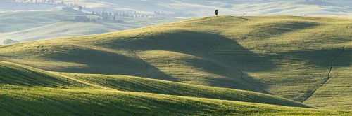 Landscape at sunrise around Pienza, Val d'Orcia, Orcia Valley, UNESCO World Heritage Site, Province