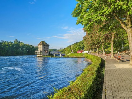 Schlössli Wörth am Rheinfall, chestnut blossom, Neuhausen, Canton Schaffhausen, Switzerland, Europe