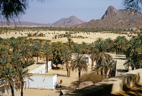 Date palms and buildings of the oasis settlement of Djanet in the Sahara Desert, Algeria, North