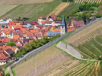 Village Randersacker east of Würzburg surrounded by vineyards, seen from viewpoint terroir f,