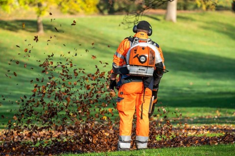 Leaf blower, removal of autumn leaves in a municipal park, Duisburg, North Rhine-Westphalia,