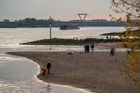 Walkers on the Rhine beach between Düsseldorf and Krefeld, container cargo ship, behind the airport