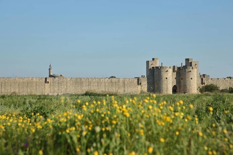 Porte de la Reine, town gate and historic town fortifications with town wall, Aigues-Mortes, Gard,