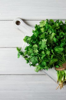 Bunch of fresh Cilantro, on a white wooden table, close-up, top view, no people