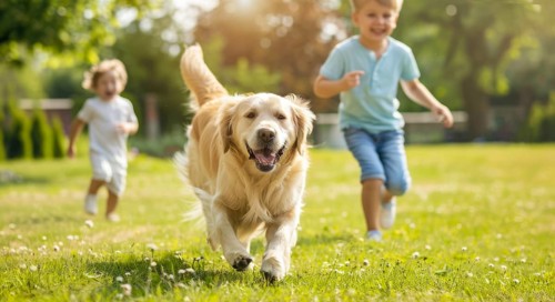 Happy smiling family with children playing with a golden retriever at home lawn, AI generated