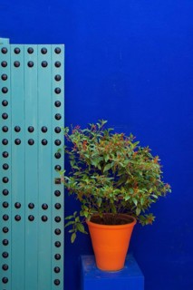 Flower decoration in the Majorelle garden, wall, clay plaster, indigo, blue, colourful, plants,