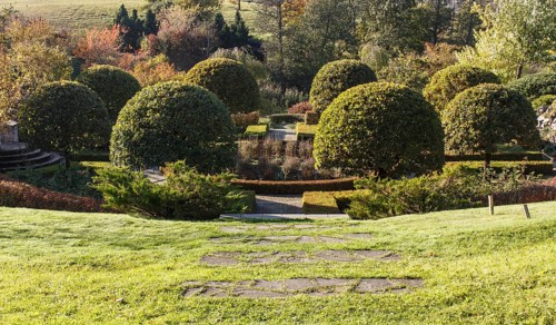 Cottage garden with green lawn, hedges, trimmed bushes and large topiary oak trees, Modern
