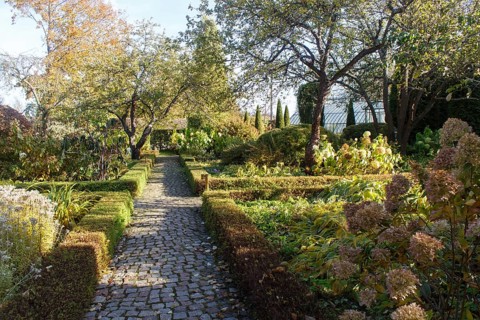 Cottage garden with vines, trees, hedges, trimmed bushes. Modern landscape design