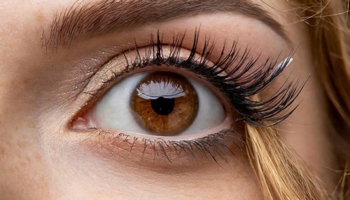 Close-up of a brown eye with long eyelashes and subtle eye make-up, AI generated, AI generated