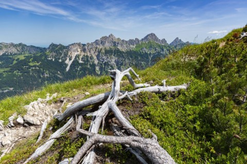 Mountain panorama from the Krinnenspitze, 2000m, behind Friedberger Klettersteig, Rote Flüh, 2108m,