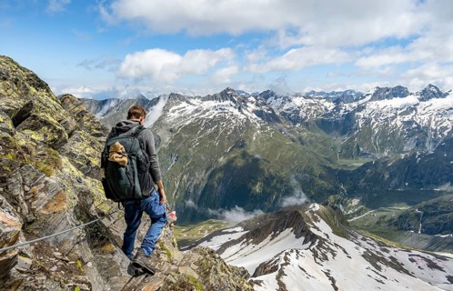 Mountaineers on a rope-insured hiking trail, breathtaking mountain landscape, view of Zemmgrund