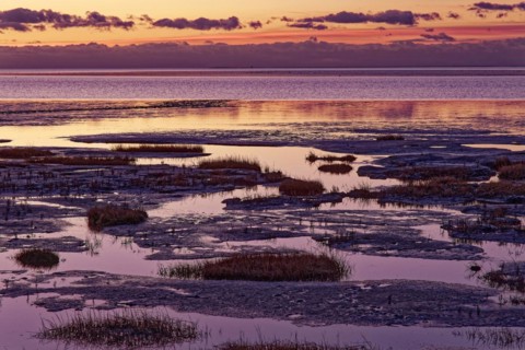 Evening tidal flat landscape shortly after sunset at low tide in the Wadden Sea National Park.