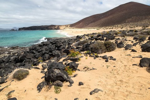 Sandy beach Playa de las Conchas, Graciosa island, Lanzarote, Canary Islands, Spain, Europe