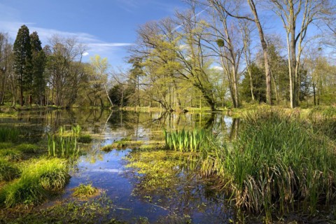Paffendorf Castle, Castle Park, Route of Garden Art between the Rhine and Meuse with forest nature