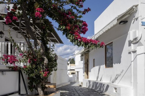 Old town alley in Lindos, Rhodes, Dodecanese archipelago, Greek islands, Greece, Europe