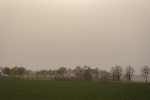 Large quantities of Sahara dust obscure the sun, Cunnersdorf, Saxony, Germany, Europe