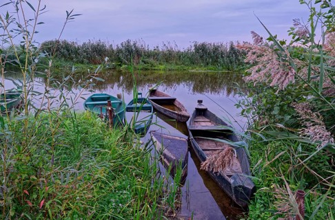 Fishing boat on a branch of the Narew in the Narew National Park in north-east Poland. Waniewo,