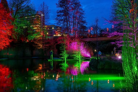 Parkleuchten, event in winter, in the Grugapark in Essen, many different light installations,