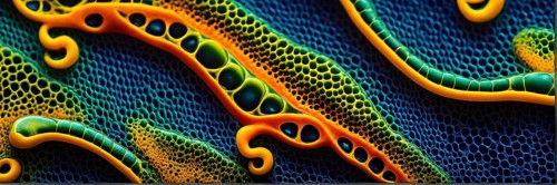 Nano material inspired by gecko feet with intricate patterns and vibrant colors representing
