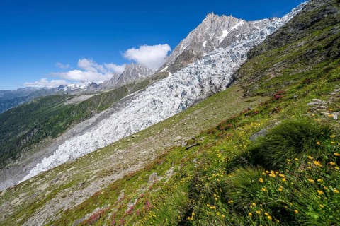 Mountain landscape with glacier Glacier des Bossons and summit of the Aiguille du Midi, Chamonix,