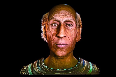 Reconstruction of the face of Ramses II