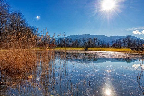 A calm lake in a natural landscape with sunbeams, reflecting mountains and trees in the background,