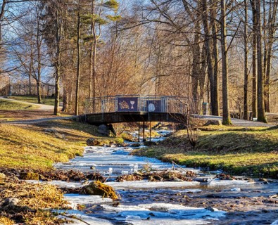 A small bridge over a stream in an autumnal forest, surrounded by bare trees and soft light, Bad
