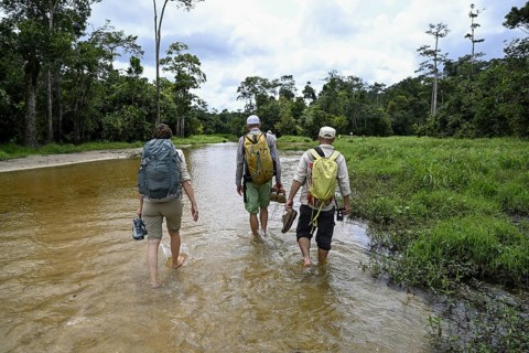 Tourists on the way to the Dzanga Bai forest clearing, Dzanga-Ndoki National Park, Unesco World