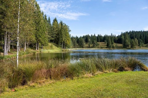 Wildensee am Kranzberg, Mittenwald, Werdenfelser Land, Upper Bavaria, Bavaria, Germany, Europe
