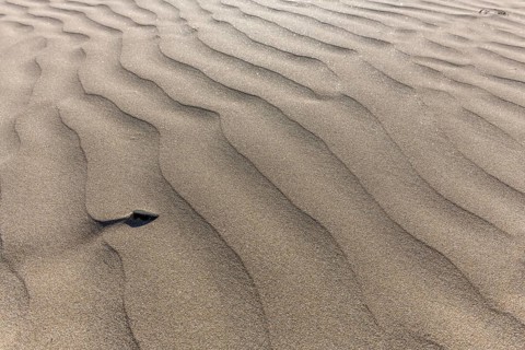 Fine sand moulded by the wind on a beach. Crozon, Finistere, Brittany, France, Europe