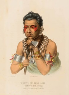 Young Ma-Has-Kah. Chief Of The Ioways (1837), Indians, Historical Indian tribes from North America,
