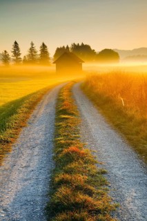 Golden morning light streams through fields of fog and the Rothenthurm high moor, Schwyz,