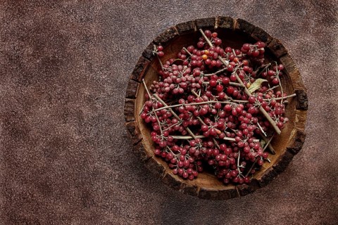Shtoshi berry, Shepherd's pie, a hybrid of sea buckthorn and barberry, top view, no people