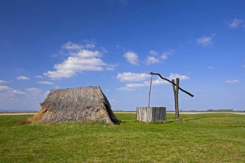 Draw well and reed hut at Neusiedler See, Austria, Europe