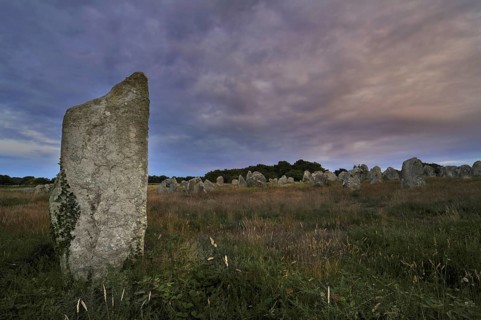 Neolithic menhirs, standing stones at Carnac at dusk, Brittany, France, Europe